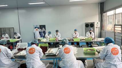 攜手阿里，智造未來(lái) 裕鑫博康借力淘工廠加速產(chǎn)業(yè)數(shù)字化升級(jí)